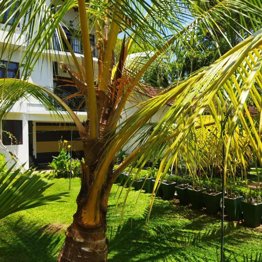 Edelweiss Residence Hikkaduwa Exterior photo